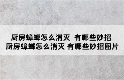 厨房蟑螂怎么消灭  有哪些妙招 厨房蟑螂怎么消灭 有哪些妙招图片